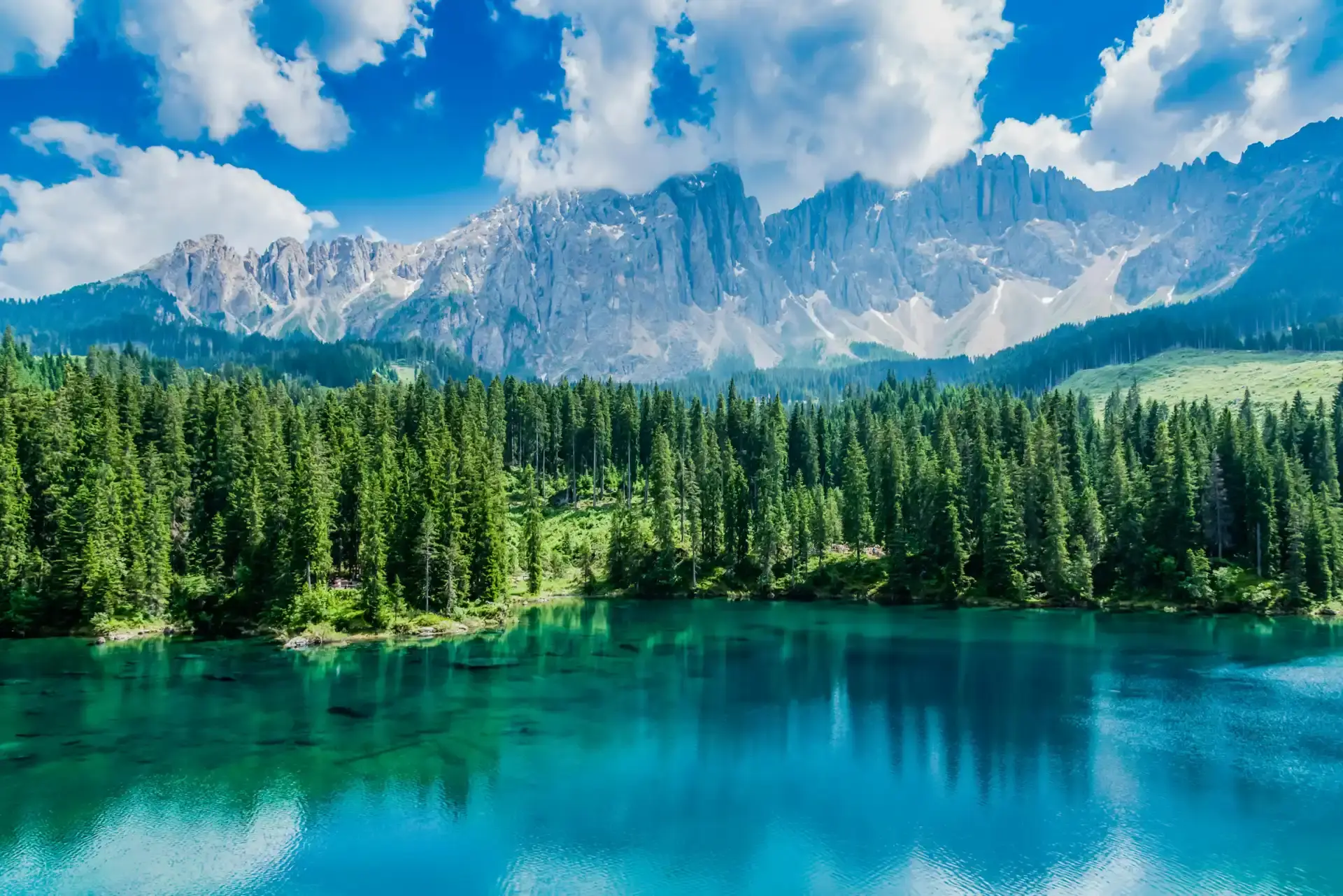 Argentine Wilderness