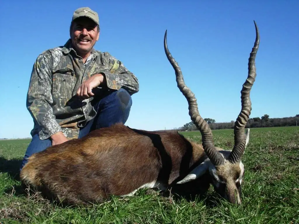 Axis and Blackbuck Special Package gallery image 8