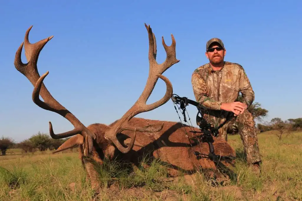 Free-range Red Stag hunt gallery image 2