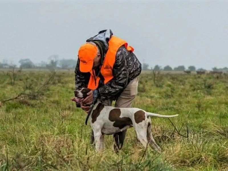 Mixed bag shooting gallery image 8