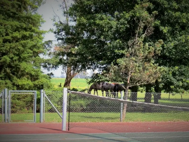 Estancia El Carmen grounds